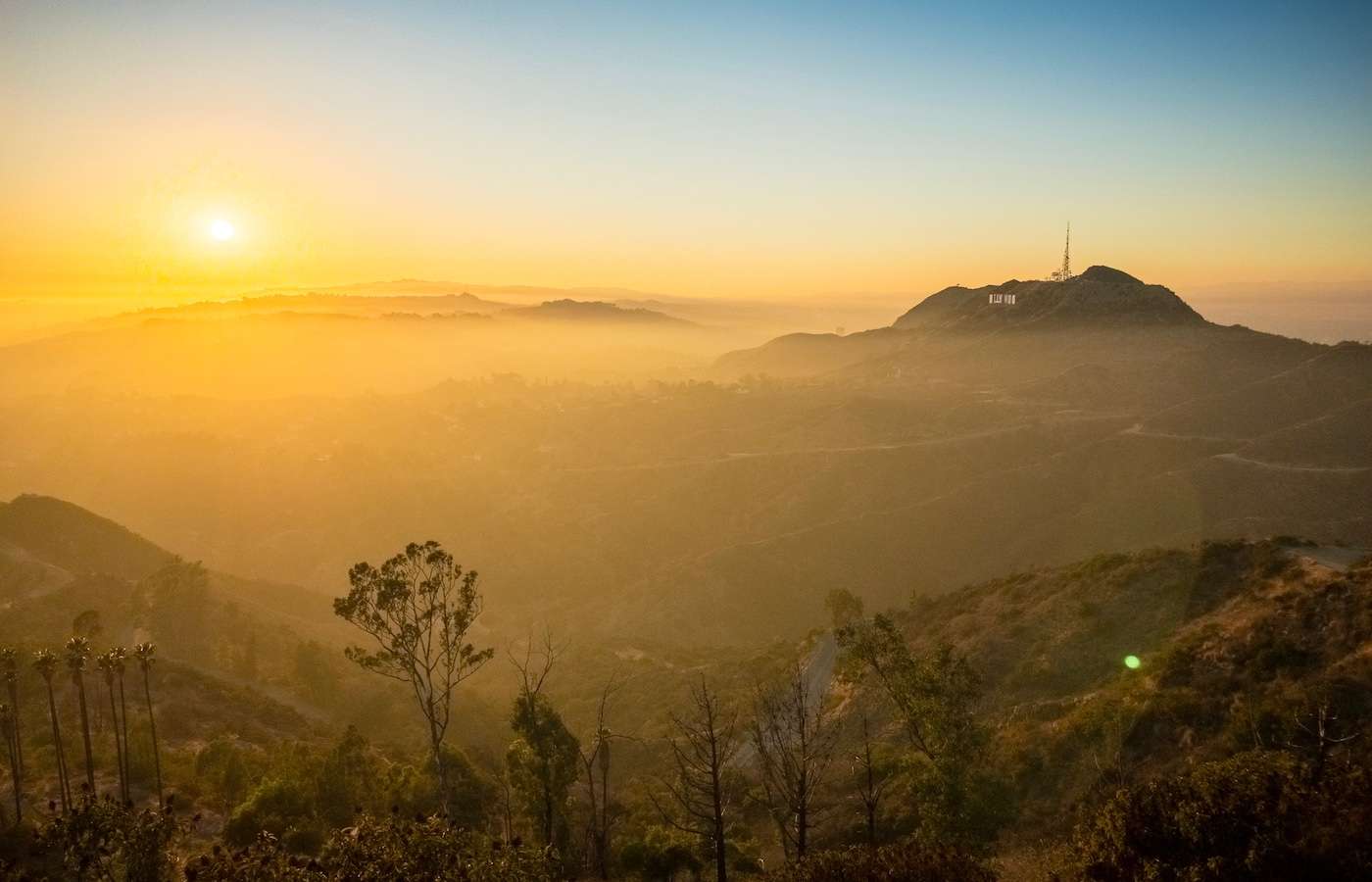 View of the Hollywood sign from Griffith Park